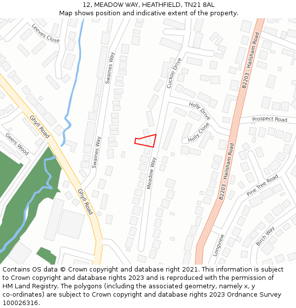 12, MEADOW WAY, HEATHFIELD, TN21 8AL: Location map and indicative extent of plot