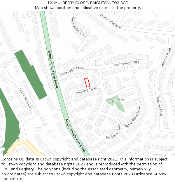 12, MULBERRY CLOSE, PAIGNTON, TQ3 3GD: Location map and indicative extent of plot
