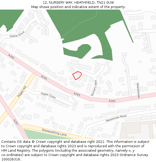 12, NURSERY WAY, HEATHFIELD, TN21 0UW: Location map and indicative extent of plot