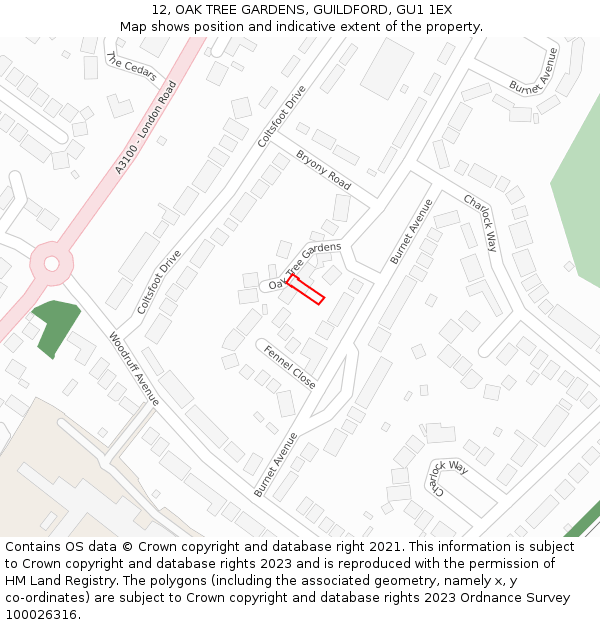 12, OAK TREE GARDENS, GUILDFORD, GU1 1EX: Location map and indicative extent of plot