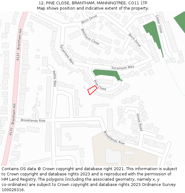 12, PINE CLOSE, BRANTHAM, MANNINGTREE, CO11 1TP: Location map and indicative extent of plot