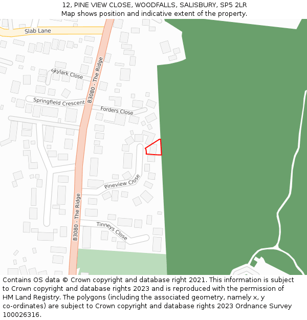 12, PINE VIEW CLOSE, WOODFALLS, SALISBURY, SP5 2LR: Location map and indicative extent of plot