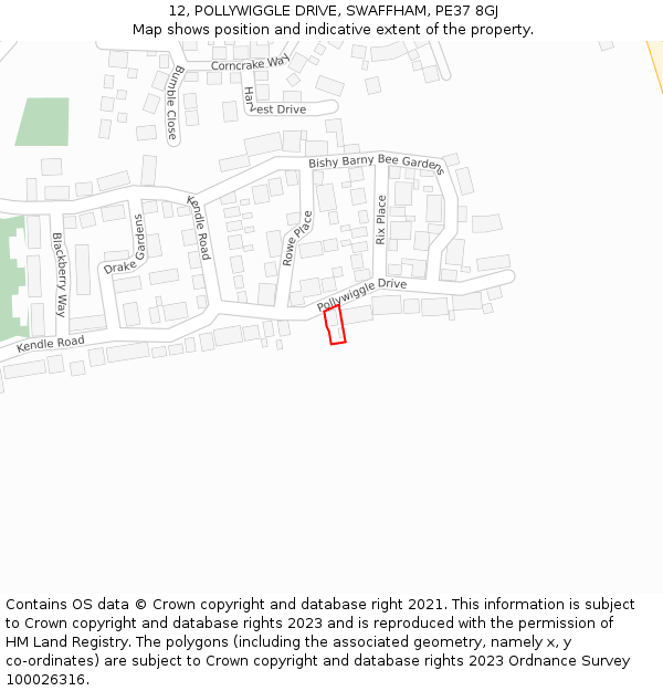 12, POLLYWIGGLE DRIVE, SWAFFHAM, PE37 8GJ: Location map and indicative extent of plot