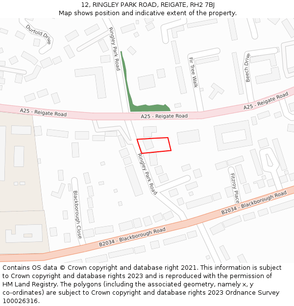 12, RINGLEY PARK ROAD, REIGATE, RH2 7BJ: Location map and indicative extent of plot