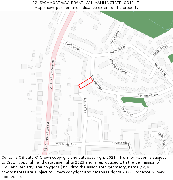 12, SYCAMORE WAY, BRANTHAM, MANNINGTREE, CO11 1TL: Location map and indicative extent of plot