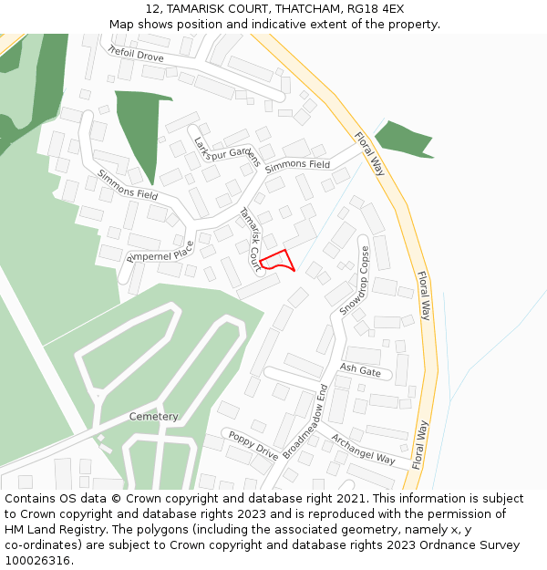 12, TAMARISK COURT, THATCHAM, RG18 4EX: Location map and indicative extent of plot