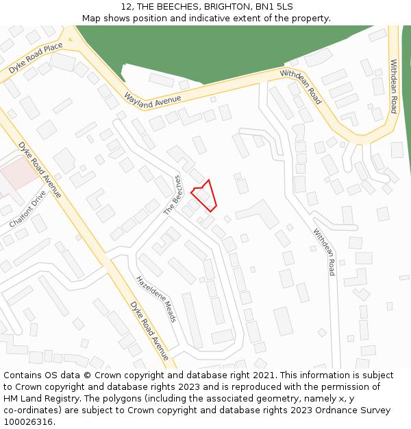 12, THE BEECHES, BRIGHTON, BN1 5LS: Location map and indicative extent of plot