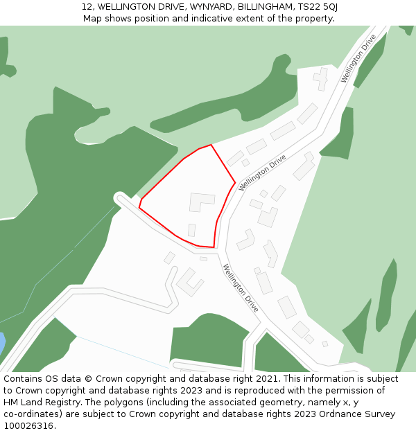 12, WELLINGTON DRIVE, WYNYARD, BILLINGHAM, TS22 5QJ: Location map and indicative extent of plot