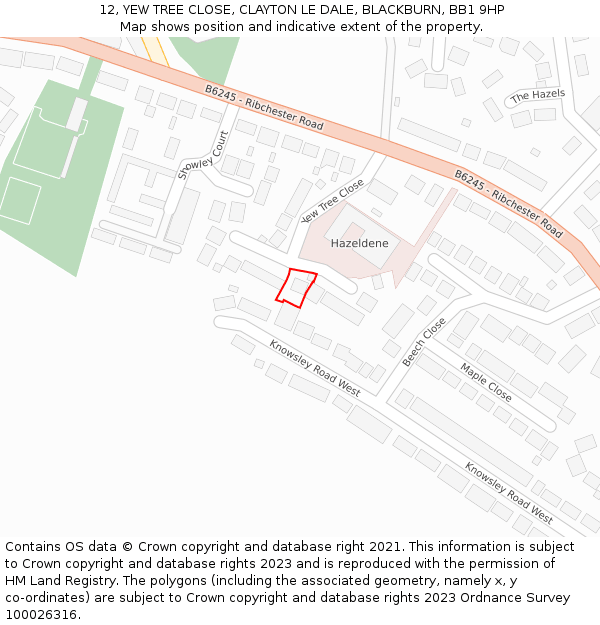 12, YEW TREE CLOSE, CLAYTON LE DALE, BLACKBURN, BB1 9HP: Location map and indicative extent of plot