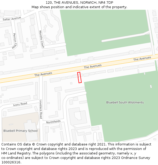 120, THE AVENUES, NORWICH, NR4 7DP: Location map and indicative extent of plot