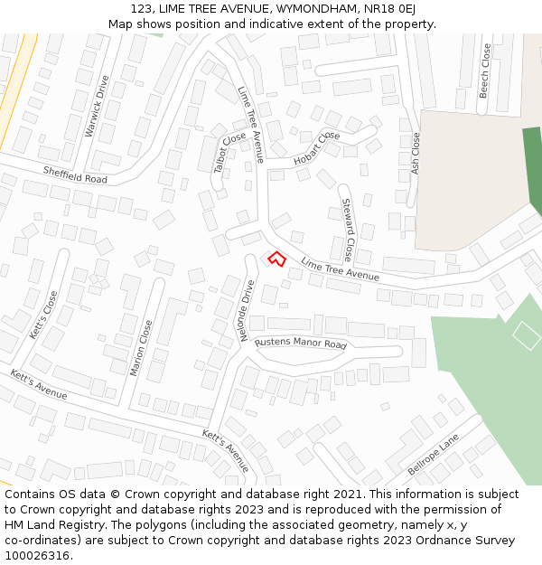 123, LIME TREE AVENUE, WYMONDHAM, NR18 0EJ: Location map and indicative extent of plot