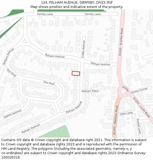 124, PELHAM AVENUE, GRIMSBY, DN33 3NF: Location map and indicative extent of plot