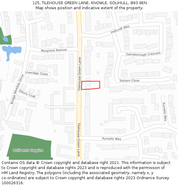 125, TILEHOUSE GREEN LANE, KNOWLE, SOLIHULL, B93 9EN: Location map and indicative extent of plot