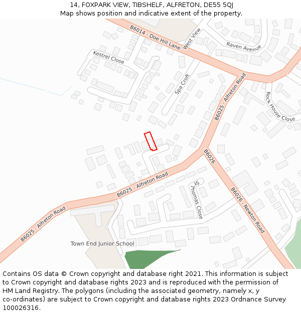 14, FOXPARK VIEW, TIBSHELF, ALFRETON, DE55 5QJ: Location map and indicative extent of plot