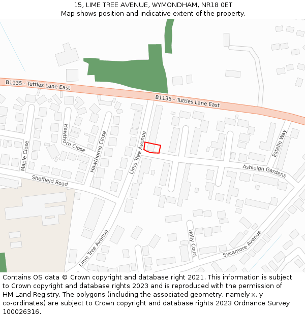 15, LIME TREE AVENUE, WYMONDHAM, NR18 0ET: Location map and indicative extent of plot