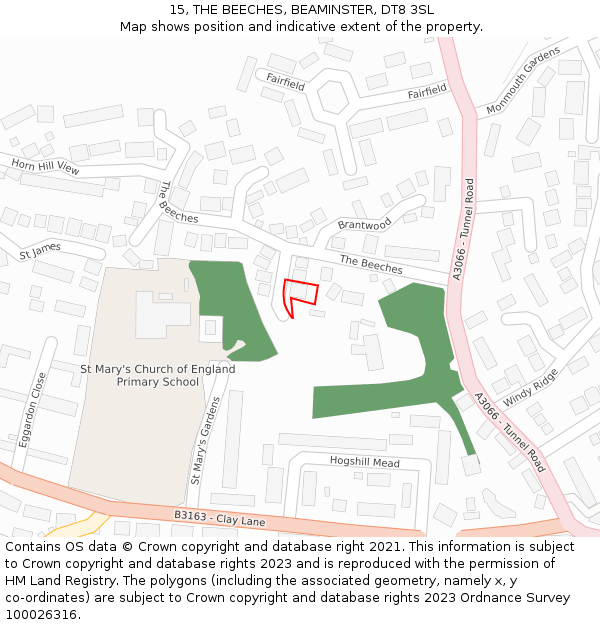 15, THE BEECHES, BEAMINSTER, DT8 3SL: Location map and indicative extent of plot