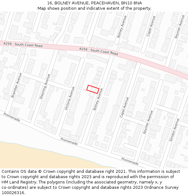 16, BOLNEY AVENUE, PEACEHAVEN, BN10 8NA: Location map and indicative extent of plot