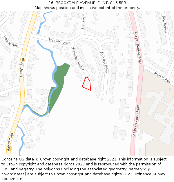 16, BROOKDALE AVENUE, FLINT, CH6 5RB: Location map and indicative extent of plot
