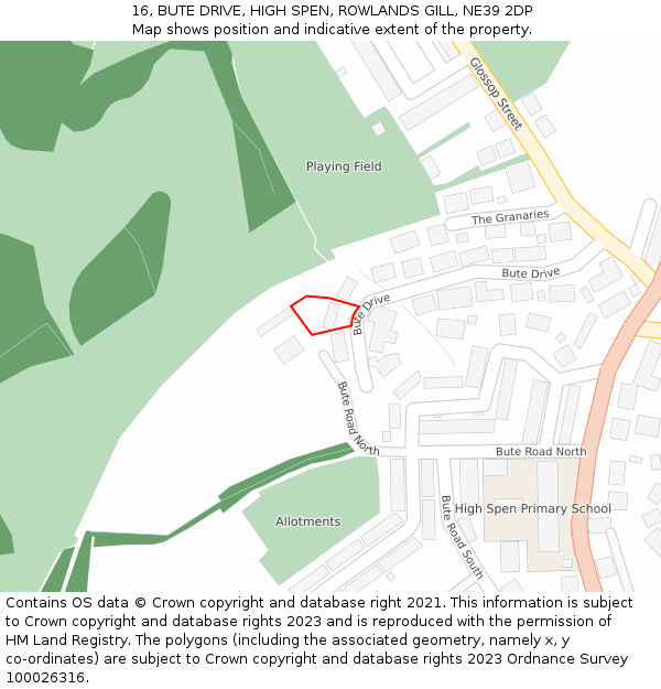 16, BUTE DRIVE, HIGH SPEN, ROWLANDS GILL, NE39 2DP: Location map and indicative extent of plot