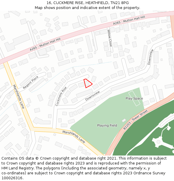 16, CUCKMERE RISE, HEATHFIELD, TN21 8PG: Location map and indicative extent of plot