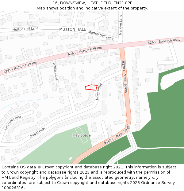 16, DOWNSVIEW, HEATHFIELD, TN21 8PE: Location map and indicative extent of plot