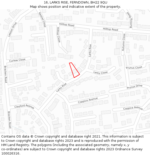 16, LARKS RISE, FERNDOWN, BH22 9QU: Location map and indicative extent of plot