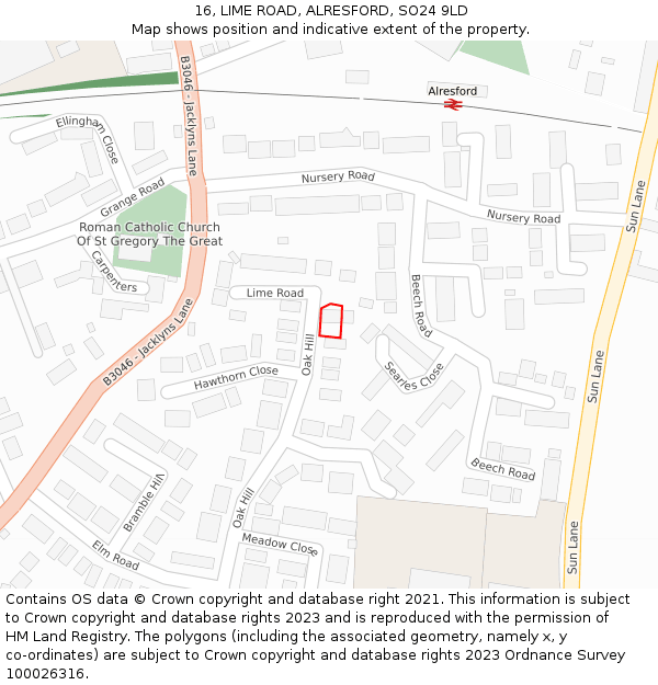 16, LIME ROAD, ALRESFORD, SO24 9LD: Location map and indicative extent of plot