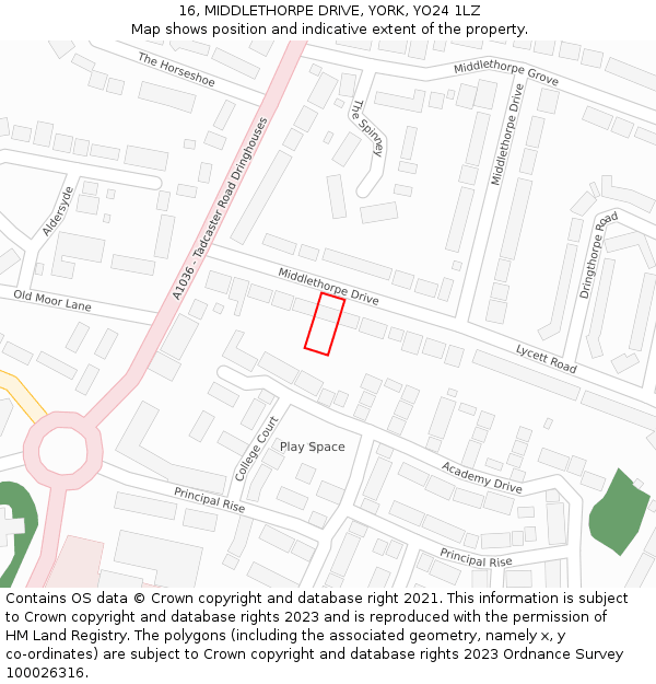 16, MIDDLETHORPE DRIVE, YORK, YO24 1LZ: Location map and indicative extent of plot