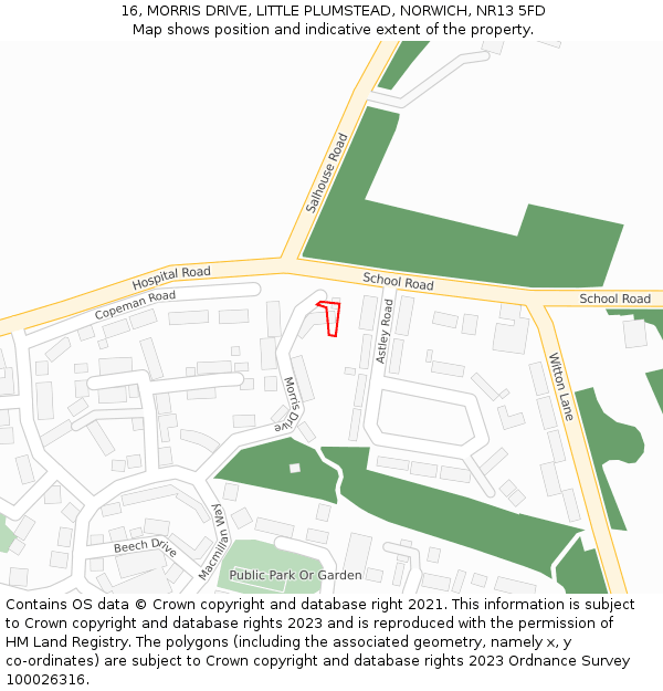 16, MORRIS DRIVE, LITTLE PLUMSTEAD, NORWICH, NR13 5FD: Location map and indicative extent of plot