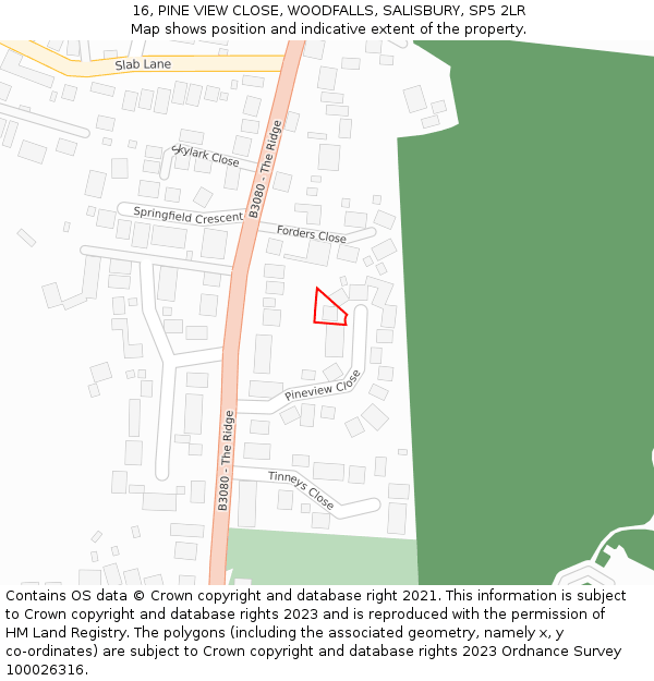 16, PINE VIEW CLOSE, WOODFALLS, SALISBURY, SP5 2LR: Location map and indicative extent of plot