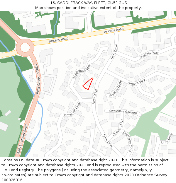 16, SADDLEBACK WAY, FLEET, GU51 2US: Location map and indicative extent of plot