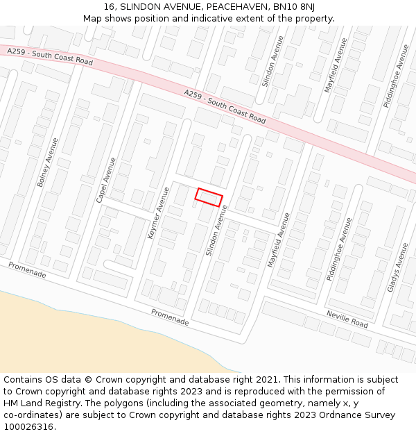 16, SLINDON AVENUE, PEACEHAVEN, BN10 8NJ: Location map and indicative extent of plot