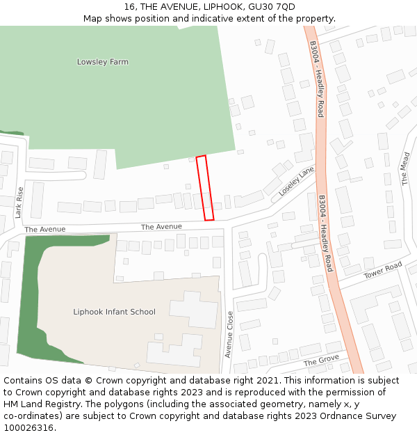 16, THE AVENUE, LIPHOOK, GU30 7QD: Location map and indicative extent of plot