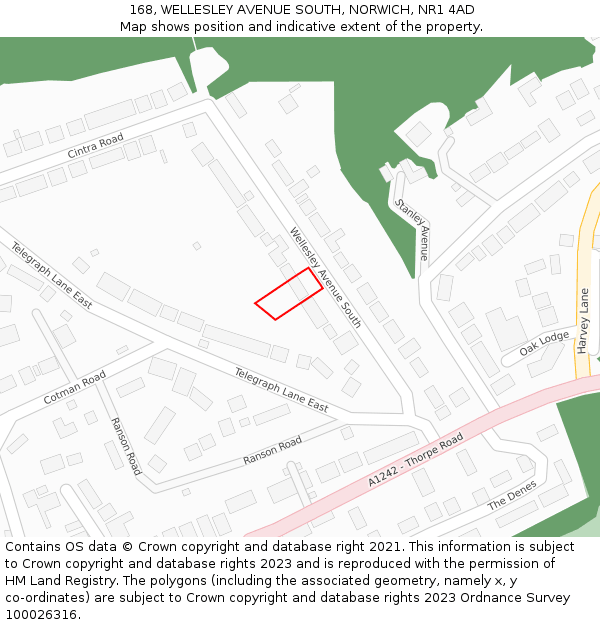 168, WELLESLEY AVENUE SOUTH, NORWICH, NR1 4AD: Location map and indicative extent of plot