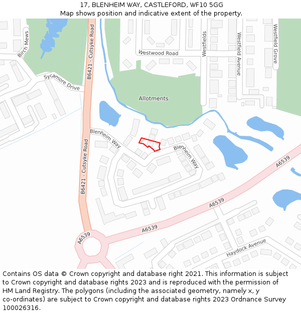 17, BLENHEIM WAY, CASTLEFORD, WF10 5GG: Location map and indicative extent of plot