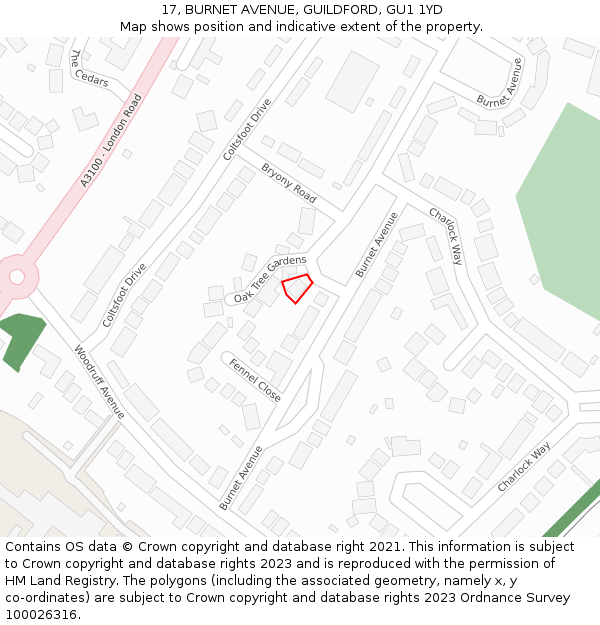 17, BURNET AVENUE, GUILDFORD, GU1 1YD: Location map and indicative extent of plot