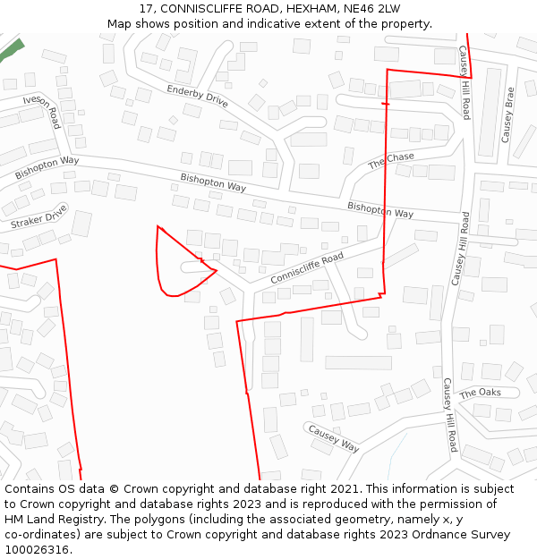 17, CONNISCLIFFE ROAD, HEXHAM, NE46 2LW: Location map and indicative extent of plot