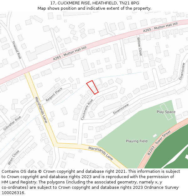 17, CUCKMERE RISE, HEATHFIELD, TN21 8PG: Location map and indicative extent of plot