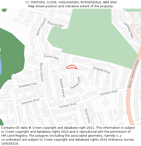 17, DAFFODIL CLOSE, HASLINGDEN, ROSSENDALE, BB4 6NG: Location map and indicative extent of plot