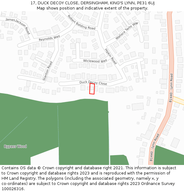 17, DUCK DECOY CLOSE, DERSINGHAM, KING'S LYNN, PE31 6UJ: Location map and indicative extent of plot