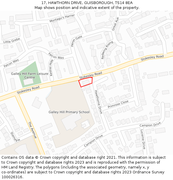 17, HAWTHORN DRIVE, GUISBOROUGH, TS14 8EA: Location map and indicative extent of plot