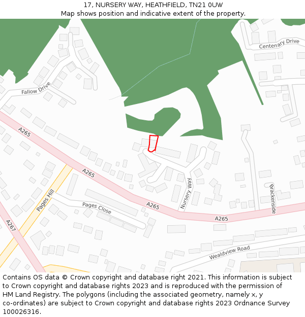 17, NURSERY WAY, HEATHFIELD, TN21 0UW: Location map and indicative extent of plot