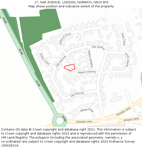 17, OAK AVENUE, LODDON, NORWICH, NR14 6FS: Location map and indicative extent of plot