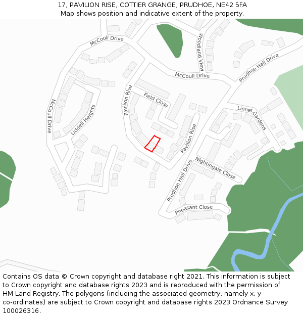 17, PAVILION RISE, COTTIER GRANGE, PRUDHOE, NE42 5FA: Location map and indicative extent of plot