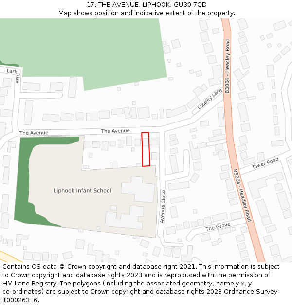 17, THE AVENUE, LIPHOOK, GU30 7QD: Location map and indicative extent of plot