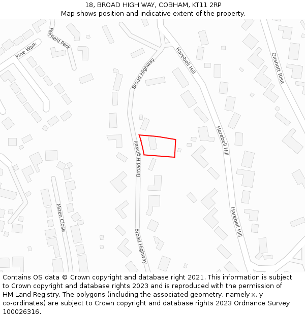 18, BROAD HIGH WAY, COBHAM, KT11 2RP: Location map and indicative extent of plot