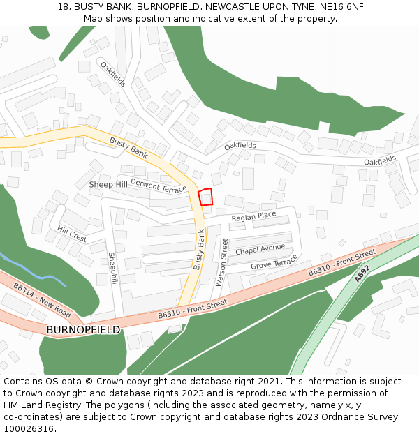 18, BUSTY BANK, BURNOPFIELD, NEWCASTLE UPON TYNE, NE16 6NF: Location map and indicative extent of plot