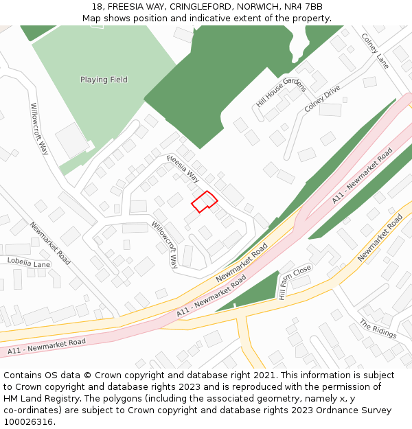 18, FREESIA WAY, CRINGLEFORD, NORWICH, NR4 7BB: Location map and indicative extent of plot