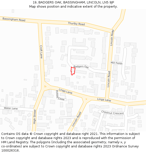19, BADGERS OAK, BASSINGHAM, LINCOLN, LN5 9JP: Location map and indicative extent of plot
