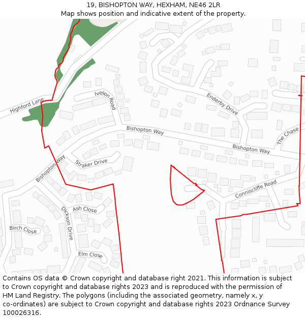 19, BISHOPTON WAY, HEXHAM, NE46 2LR: Location map and indicative extent of plot